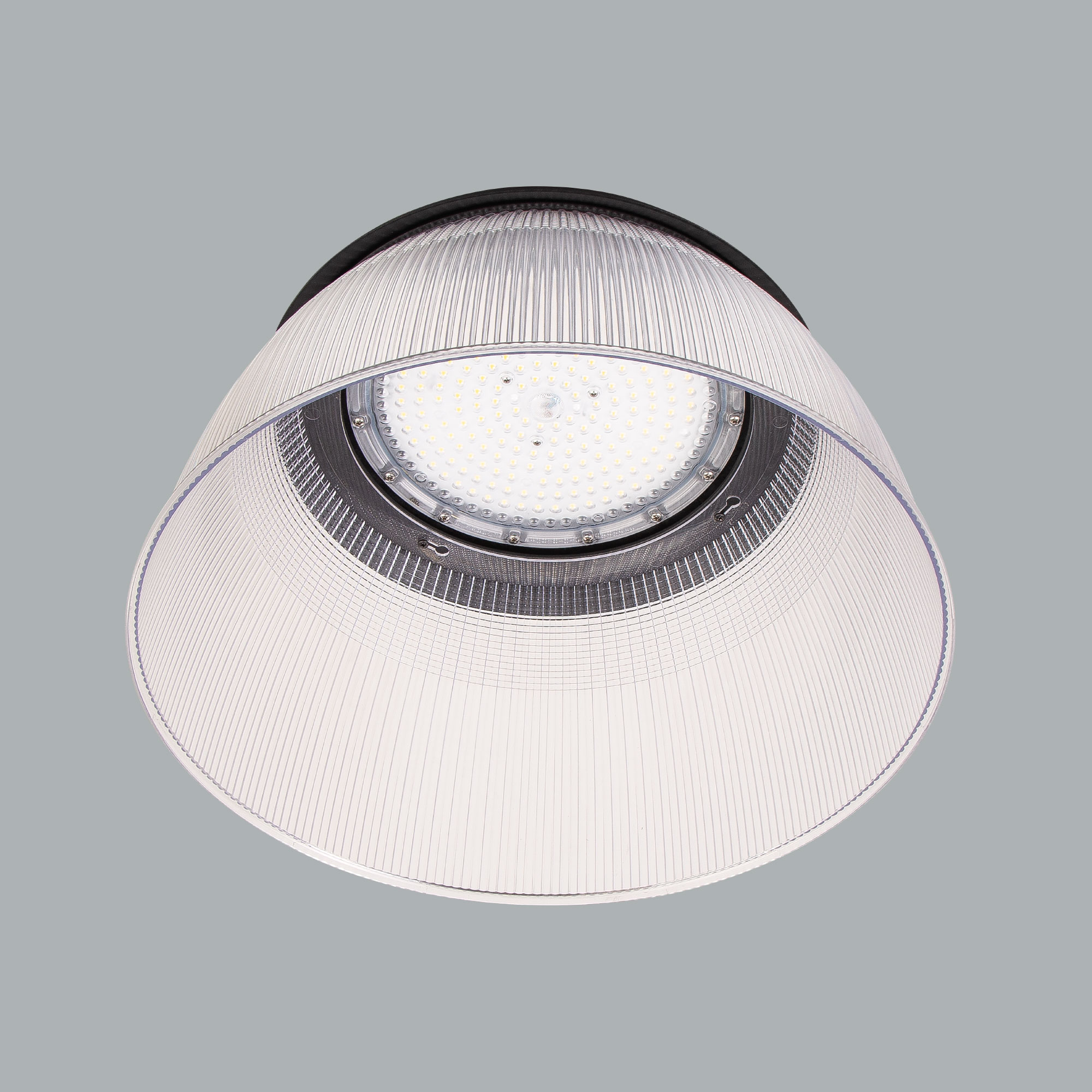 TRAY MAXI R 